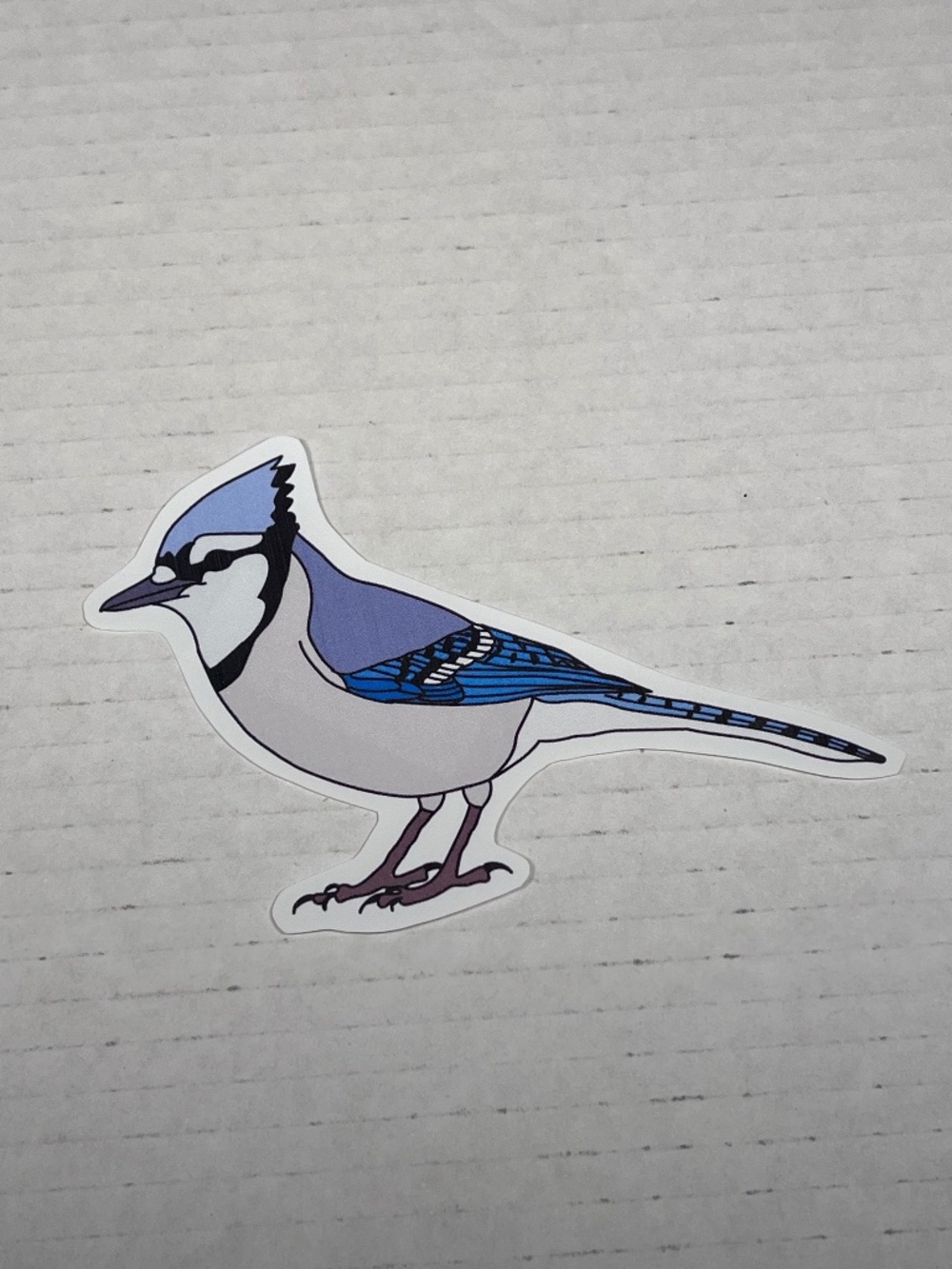 Blue Jay Vinyl Cut Sticker